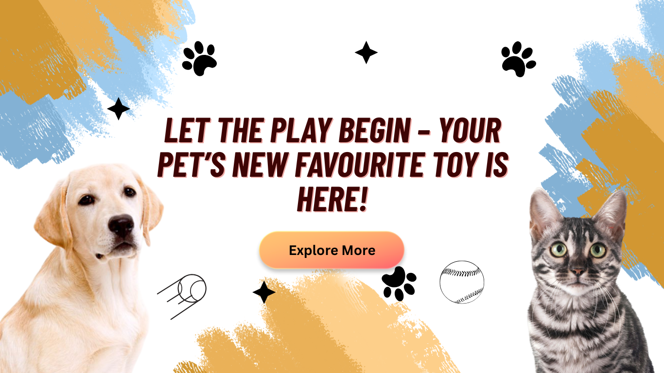 Interactive Pet Toys