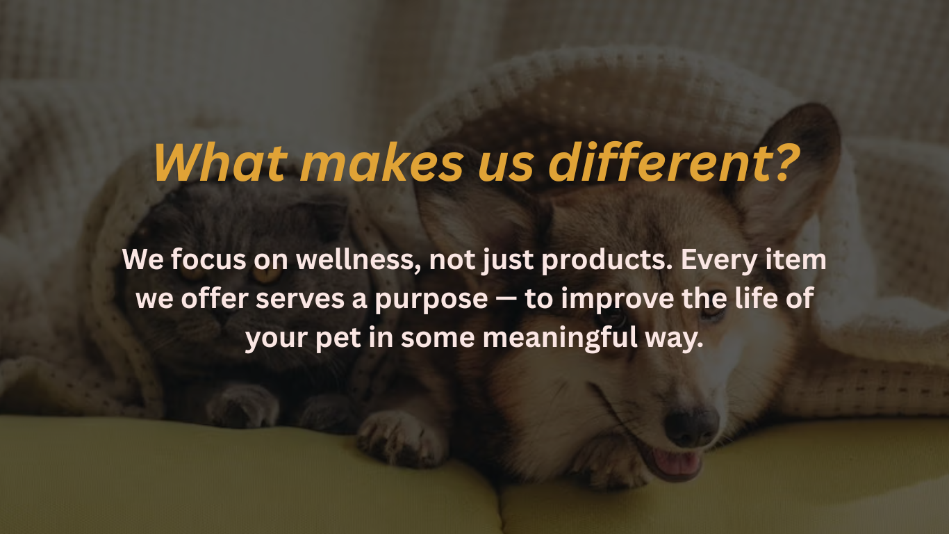 Squeaky Toys for Dogs