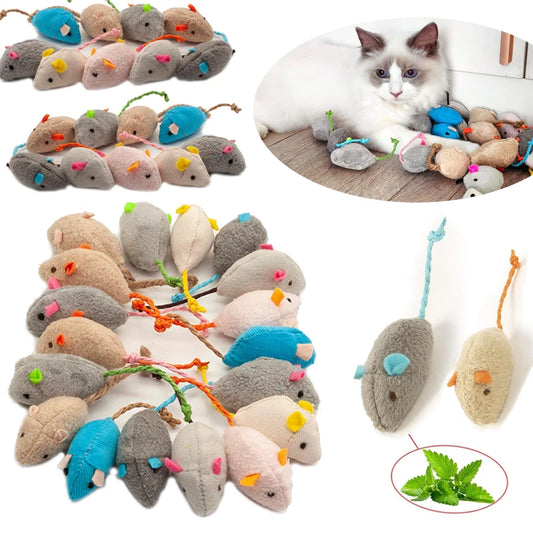 Rattle Cat Toys
