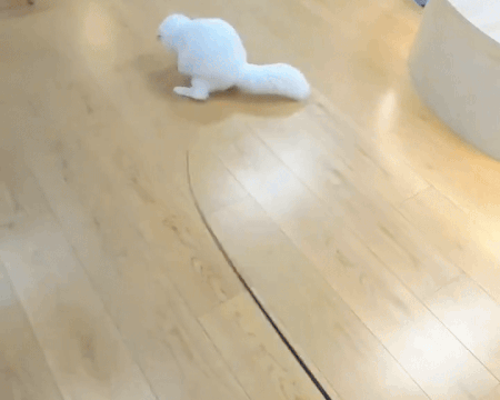 Eco-Friendly Pet Toys